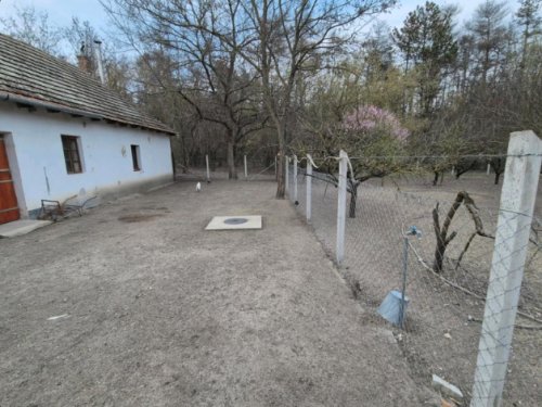 (ACA) Jagdhaus im Staatswald in Südungarn (ROG10)
