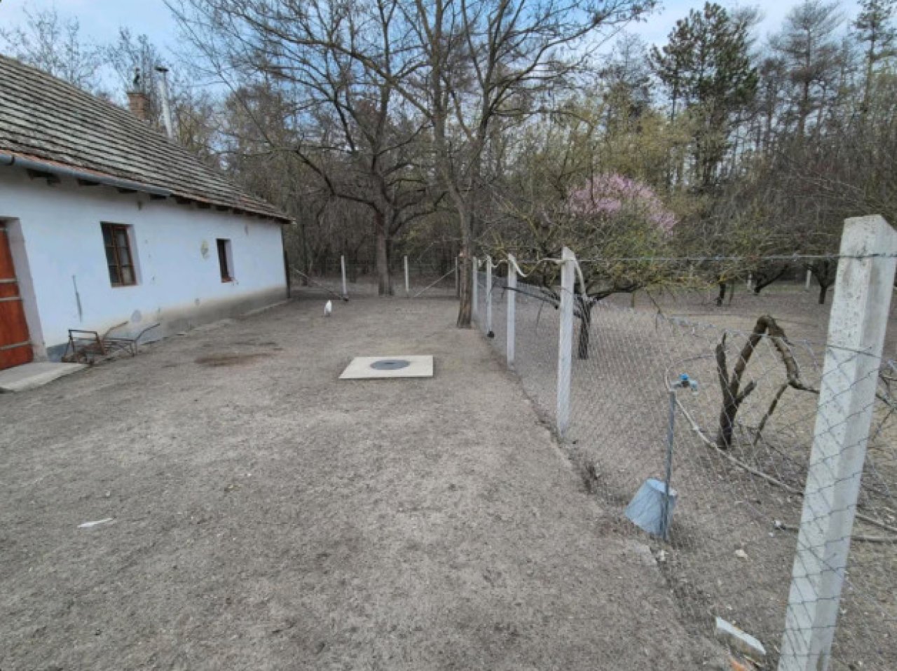 (ACA) Jagdhaus im Staatswald in Südungarn (ROG10)
