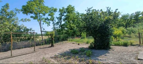 (ABA) Renoviertes Bauernhaus in Südungarn (ROG13)