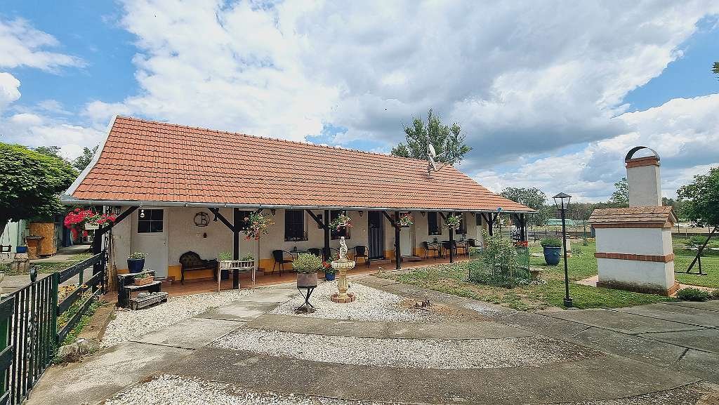 Großer Pferdehof mit Haupthaus & 3 Gäste-Apartments (WH0220-3)