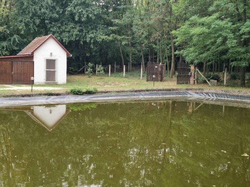 (AAA) Ein tolles renoviertes Landhaus mit großem Grund in ruhiger Lage (ROG03)