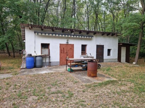 (AAA) Ein tolles renoviertes Landhaus mit großem Grund in ruhiger Lage (ROG03)