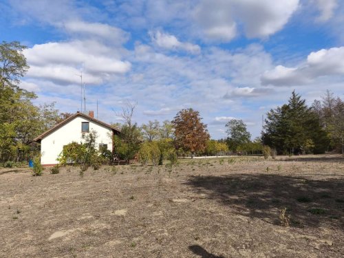 (AAA) Ein tolle Gelegenheit für Eigenbrödler: Bauernhaus in der Nähe von Kiskunhalas (ROG01)