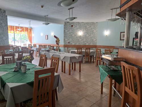(AAA) 3* Wellness-Hotel in bekanntem westungarischem Thermalbad (66058-3)