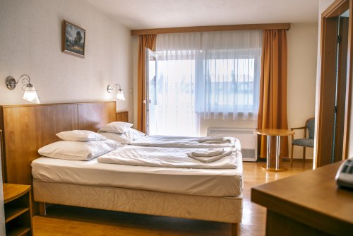 (AAA) 3* Wellness-Hotel in bekanntem westungarischem Thermalbad (66058-3)
