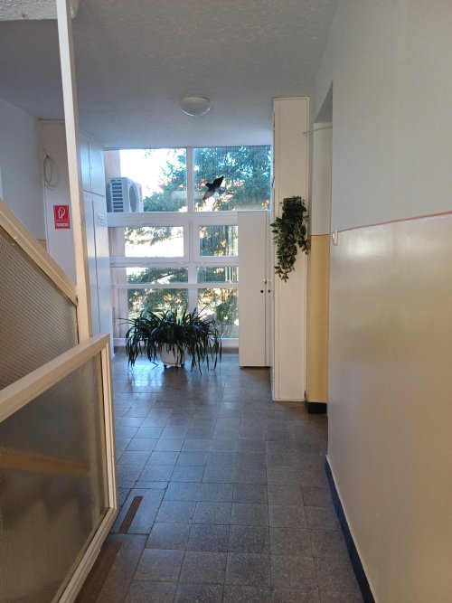 (AAB) Renovierte, möbilierte Wohnung im ersten Stock (KK025)