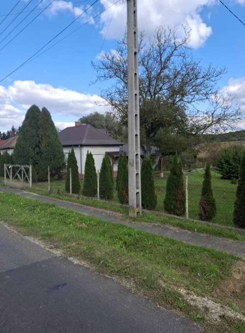 (BBA) Renovierte Einfamilienhaus im Dreiländereck (FB1511)