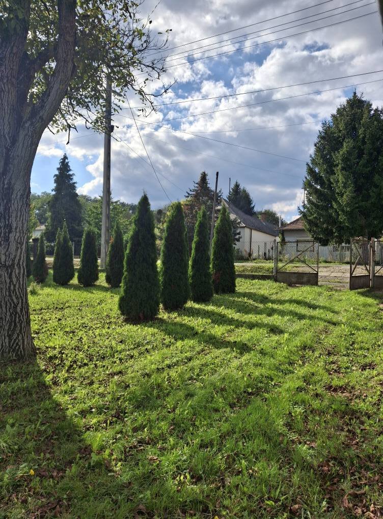 (BBA) Renovierte Einfamilienhaus im Dreiländereck (FB1511)