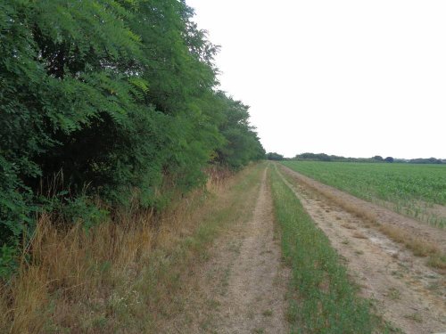 Großes Grundstück in Alleinlage (BKM04)
