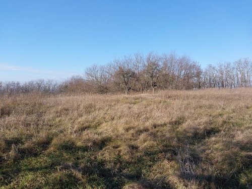 (A--) Umzäuntes Gartengrundstück (BKM010)