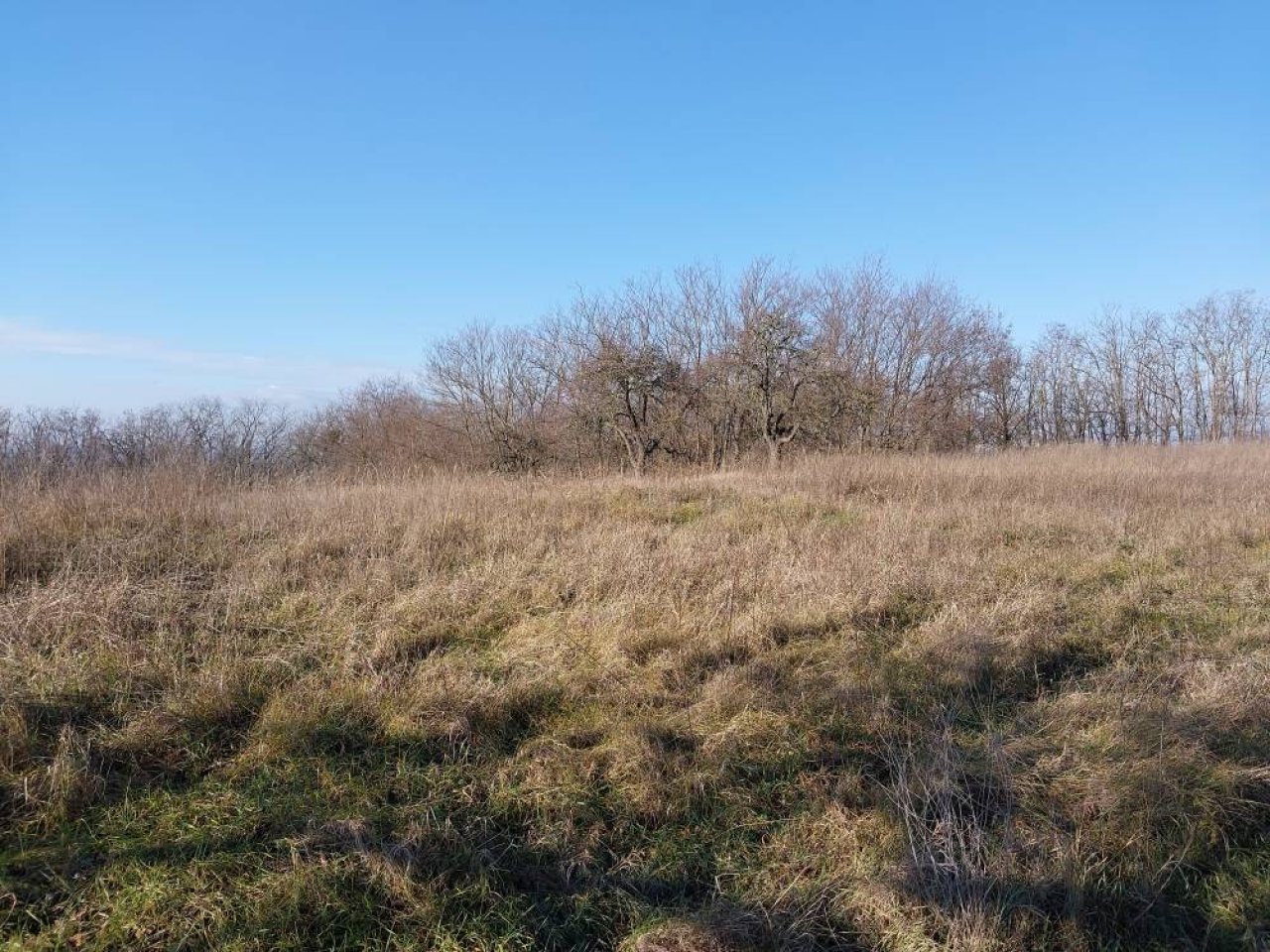 (A--) Umzäuntes Gartengrundstück (BKM010)