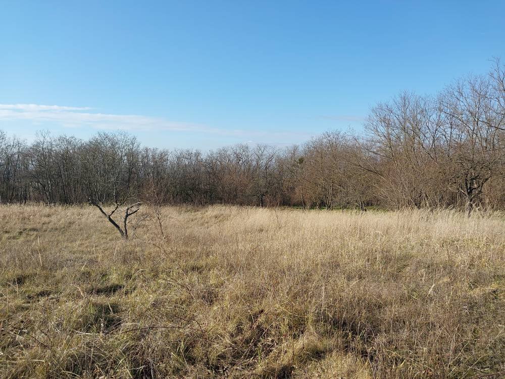 (A--) Umzäuntes Gartengrundstück (BKM010)