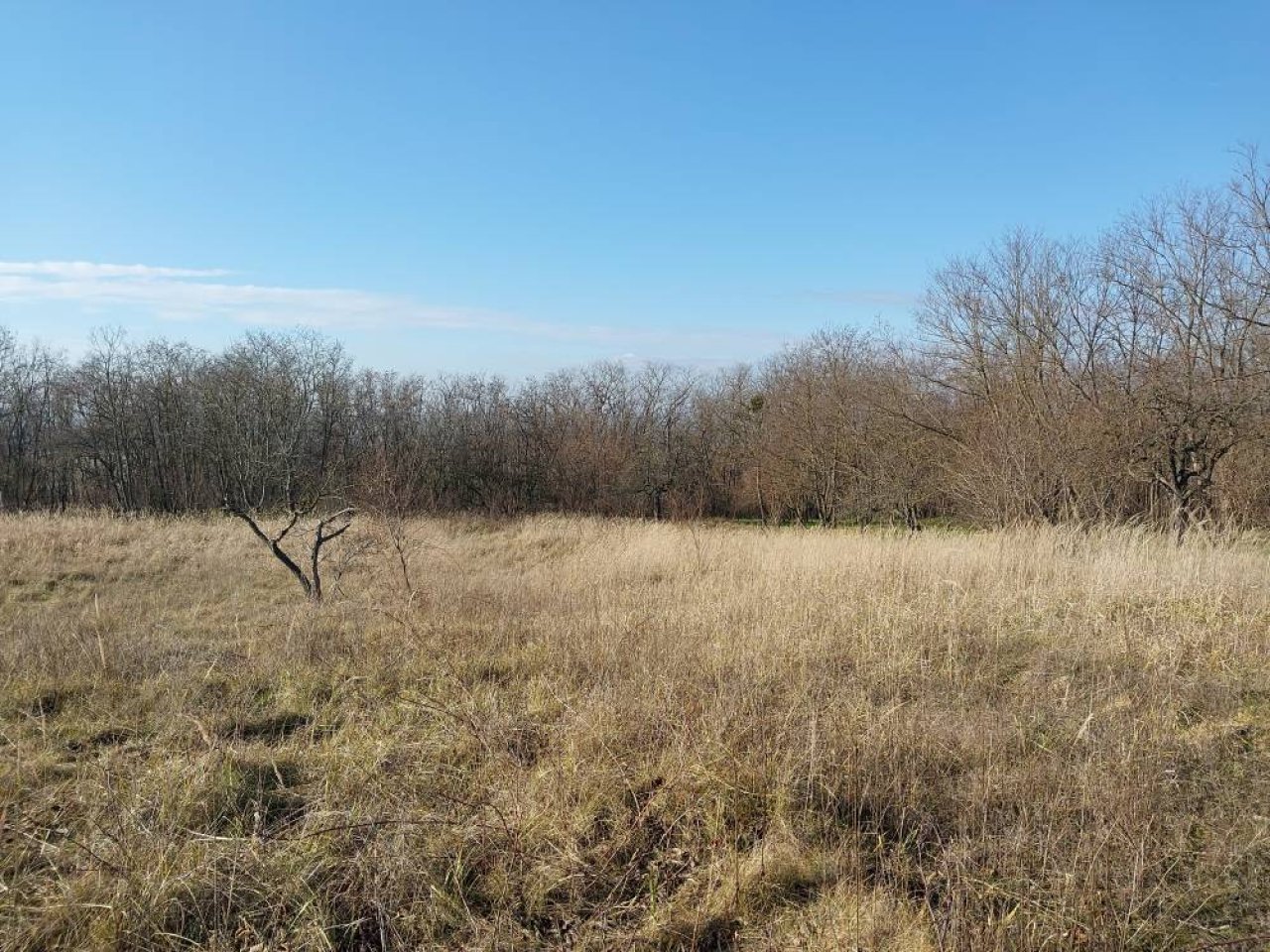 (A--) Umzäuntes Gartengrundstück (BKM010)