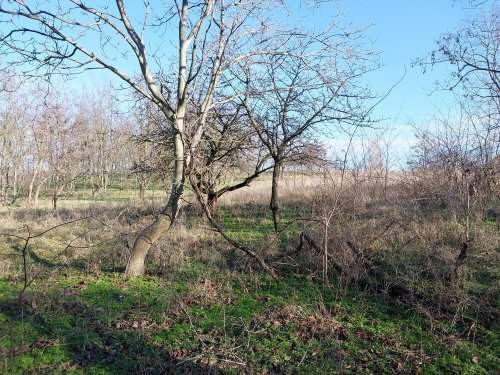 (A--) Umzäuntes Gartengrundstück (BKM010)
