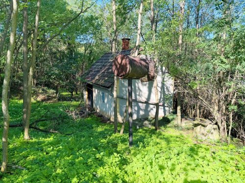 (ACA) Weinbergpinze auf großem Grundstück (HIL08)