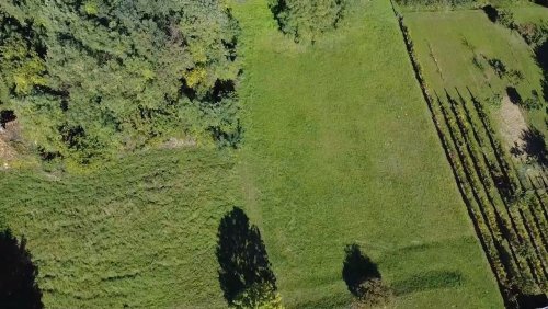(ACA) Weinbergpinze auf großem Grundstück (HIL08)