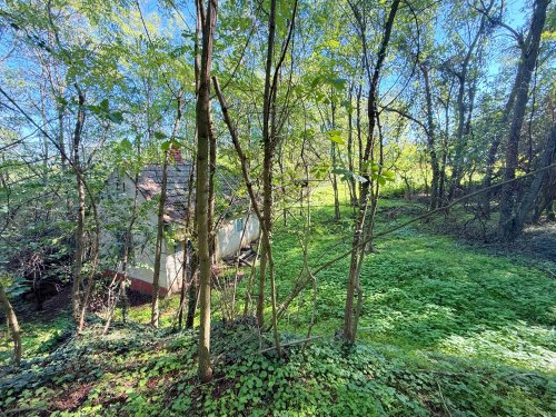 (ACA) Weinbergpinze auf großem Grundstück (HIL08)