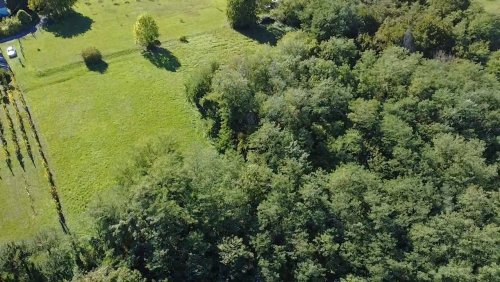 (ACA) Weinbergpinze auf großem Grundstück (HIL08)