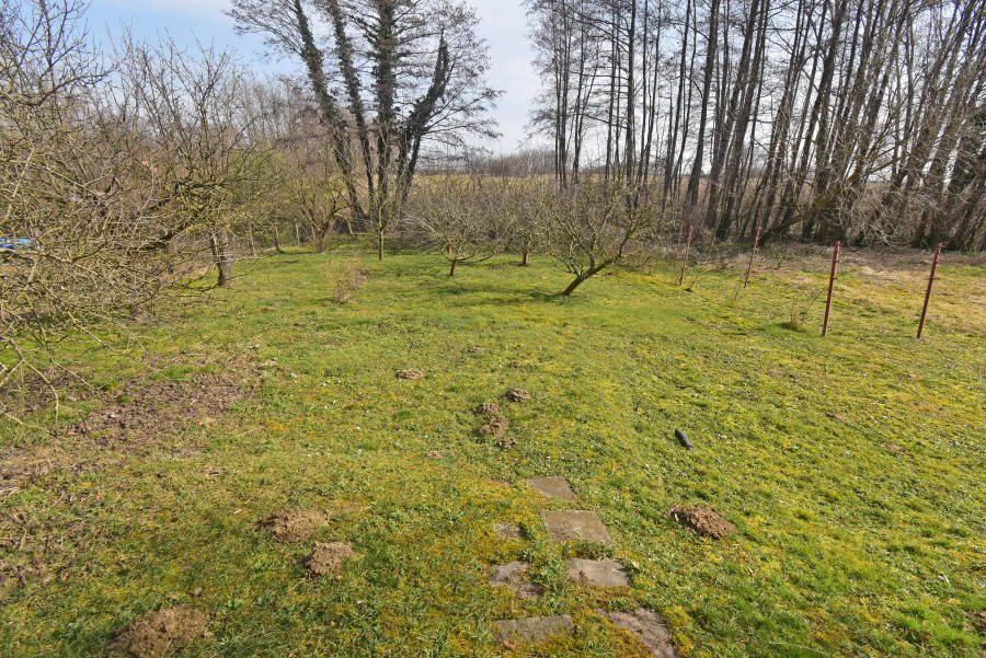(AAA) Renoviertes Haus in ruhigem Dorf zu verkaufen (FER2602-2)