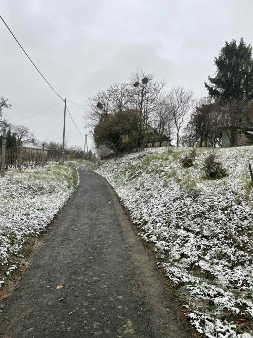 (ACA) Weinberg Pinze mit Panoramablick (FB5622)