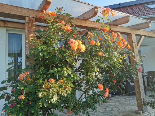 (BAA) Traumhaftes Landhaus, Schweizer Standard, mit Pool (MW2411)