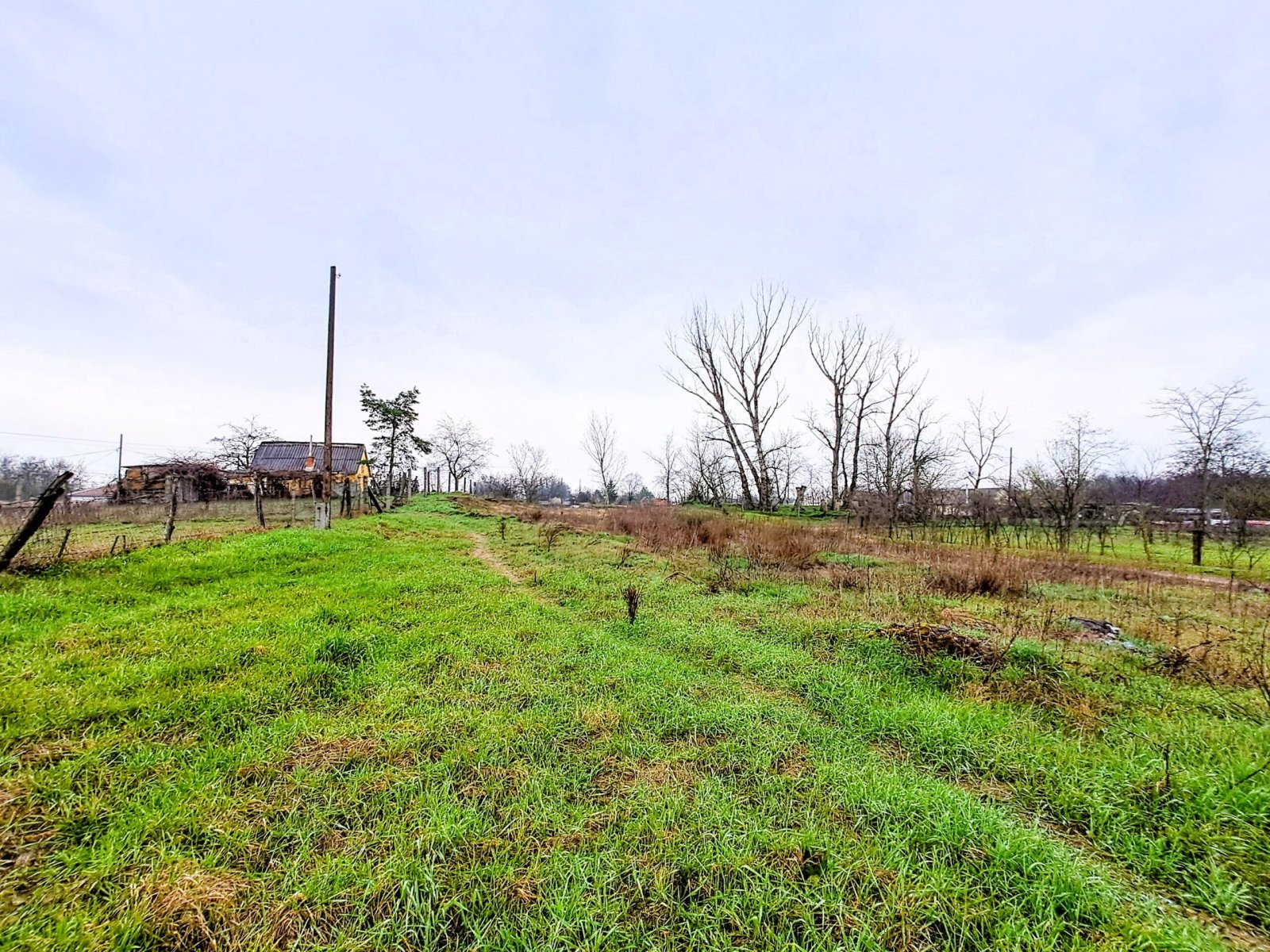 Building plot