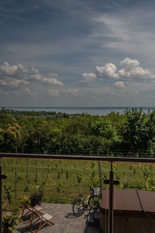 (AAA) Wunderschönes Landhaus / Apartmenthaus mit Panoramablick auf den Balaton (IN9276)