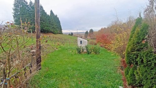 (ABA) Kleines Weinberghäuschen in fast Alleinlage, kann sofort bezogen werden (FER0712)