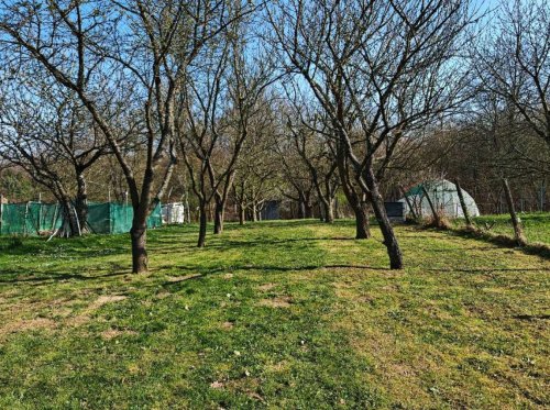 (ABA) Ferienhaus für Naturliebhaber in sehr ruhiger Lage (RV0447)