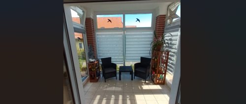 (AAA) Anspruchsvolles, zentral gelegenes Einfamilienhaus in excellentem Zustand (HGY8692)