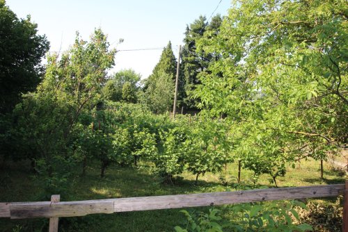 (ACA) Renovierungsbedürftiges  Weinberghaus in einer tollen Lage Nähe Balaton (FB5563)