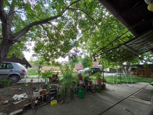 (ABA) Typisches ungarisches Bauernhaus: Gemütlich &amp; ruhig (FB0566)