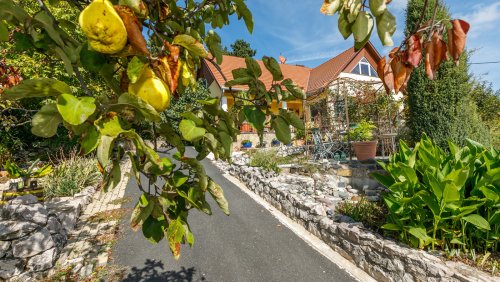 (BAA) Familienhaus mit fantastischem Grundstück und Panoramablick (33502-3)