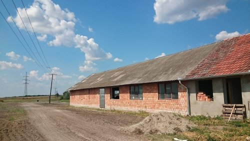 (ABA) Tanya für Tierhaltung inkl. 3 Studio-Apartments (FB0101)