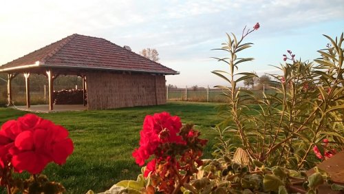 (ABA) Tanya für Tierhaltung inkl. 3 Studio-Apartments (FB0101)