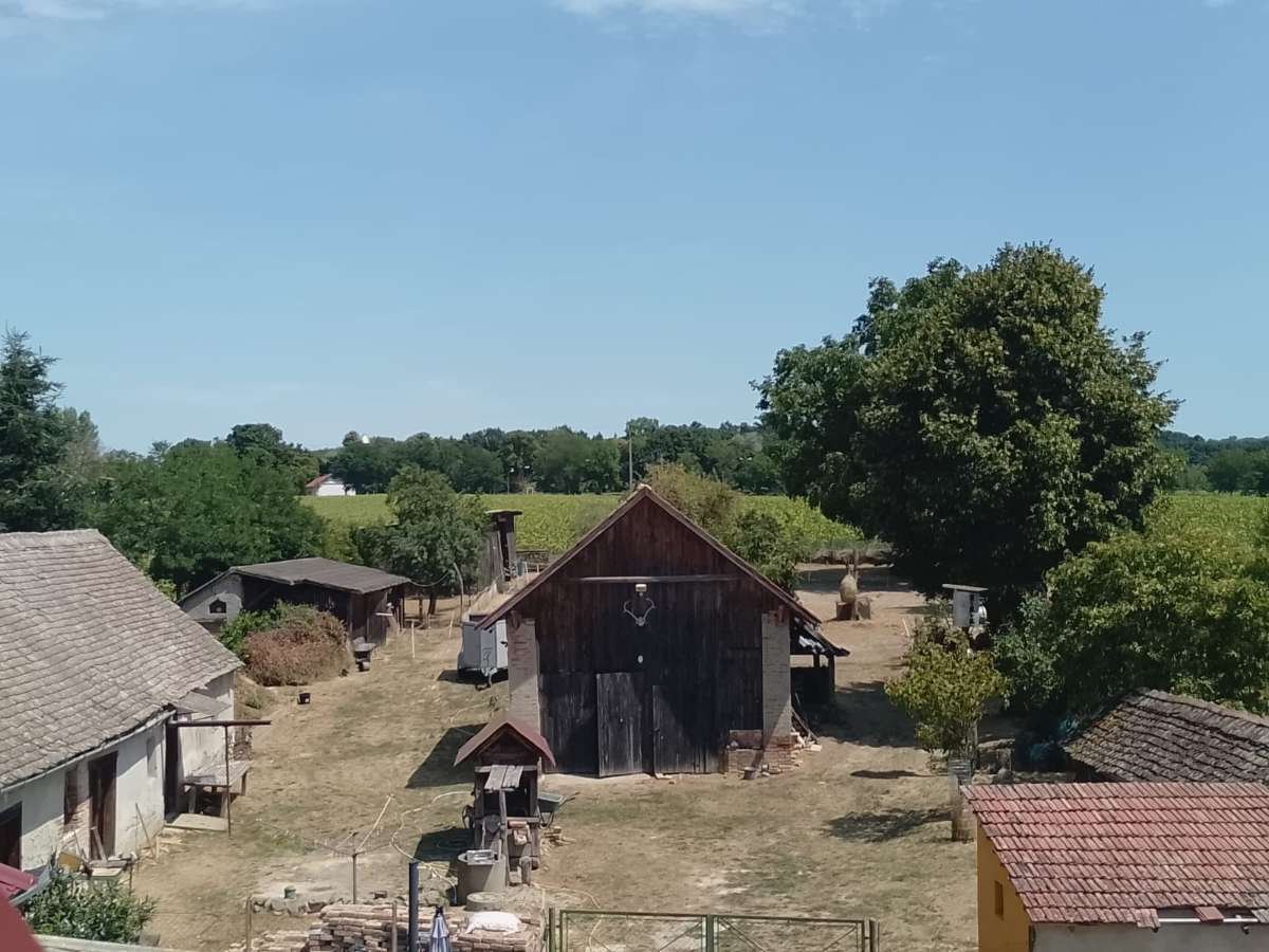 (BBA) Raum für Mensch &amp; Tier und neue Wege