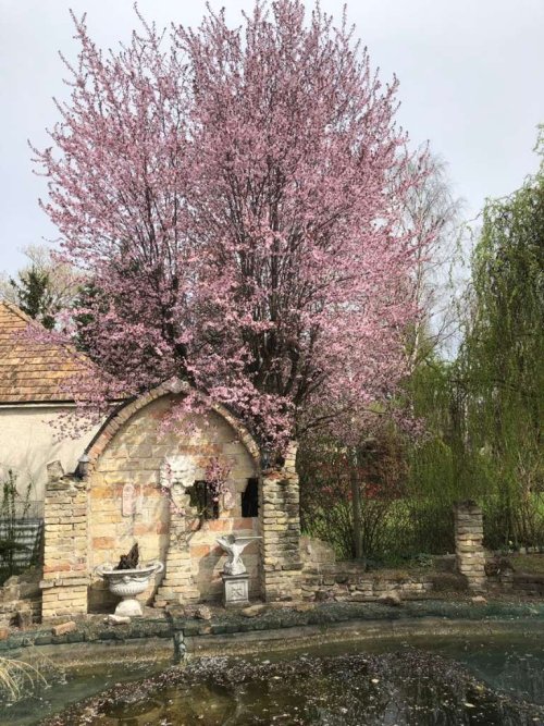 (AAA) Ein besonderes Panorama-Haus an der Donau (WH3448)