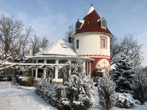 (AAA) Ein besonderes Panorama-Haus an der Donau (WH3448)
