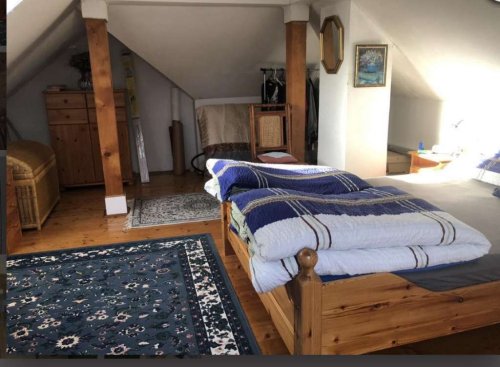 (AAA) Ein besonderes Panorama-Haus an der Donau (WH3448)