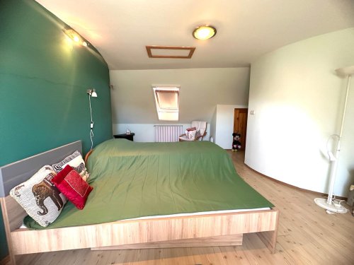 (AAA) Einfamilienhaus mit Praxis und Wohnungen (BI1798)