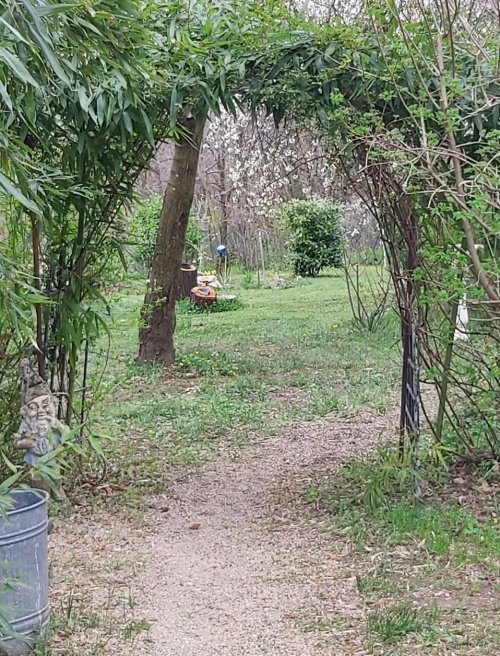 (AAA) Einfamilienhaus in einer ruhigen Straße bei Héviz (NYV5282)