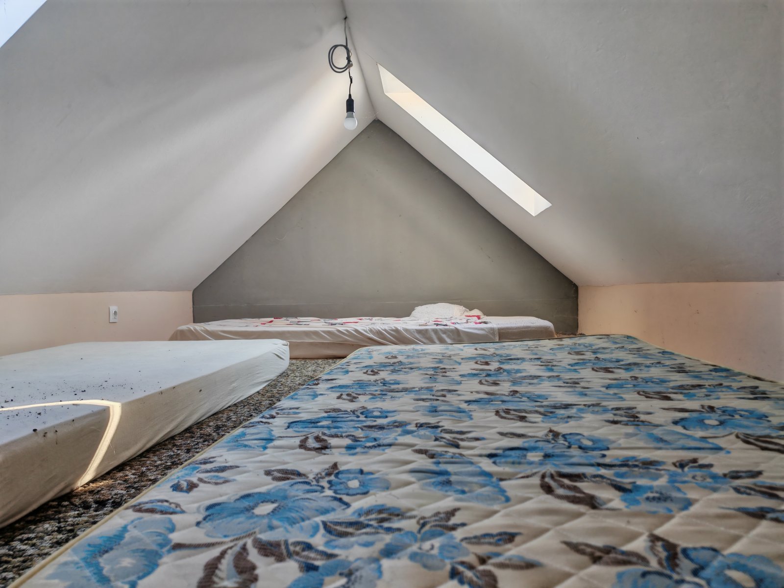 (AAA) Großes Landhaus mit Einliegerwohnung in sehr ruhiger, idyllischer Lage & trotzdem zentral (CM250-2)