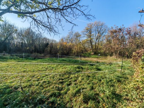 (AAA) Großes Landhaus mit Einliegerwohnung in sehr ruhiger, idyllischer Lage &amp; trotzdem zentral (CM250-2)