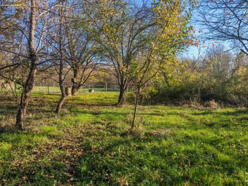 (AAA) Großes Landhaus mit Einliegerwohnung in sehr ruhiger, idyllischer Lage &amp; trotzdem zentral (CM250-2)