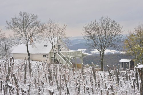 (AAA) Außergewöhnliche Anwesen vereint Natur, Ruhe &amp; Komfort mit Blick auf den Balaton (FB0120)