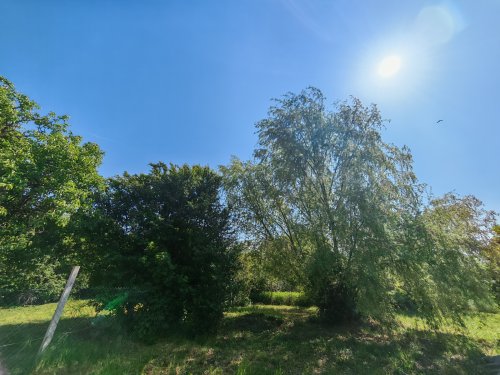 (BBA) Renoviertes Einfamilienhaus in ruhiger Lage (BB5593)