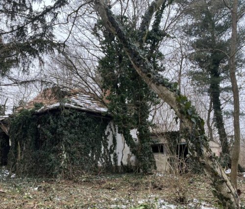 (ACA) Ein ganz tolles Wasser-Grundstück &amp; Ruine (BKM013)