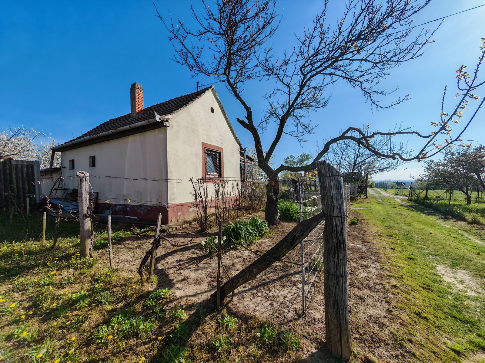 (ABA) Weinberghaus in ruhiger Lage