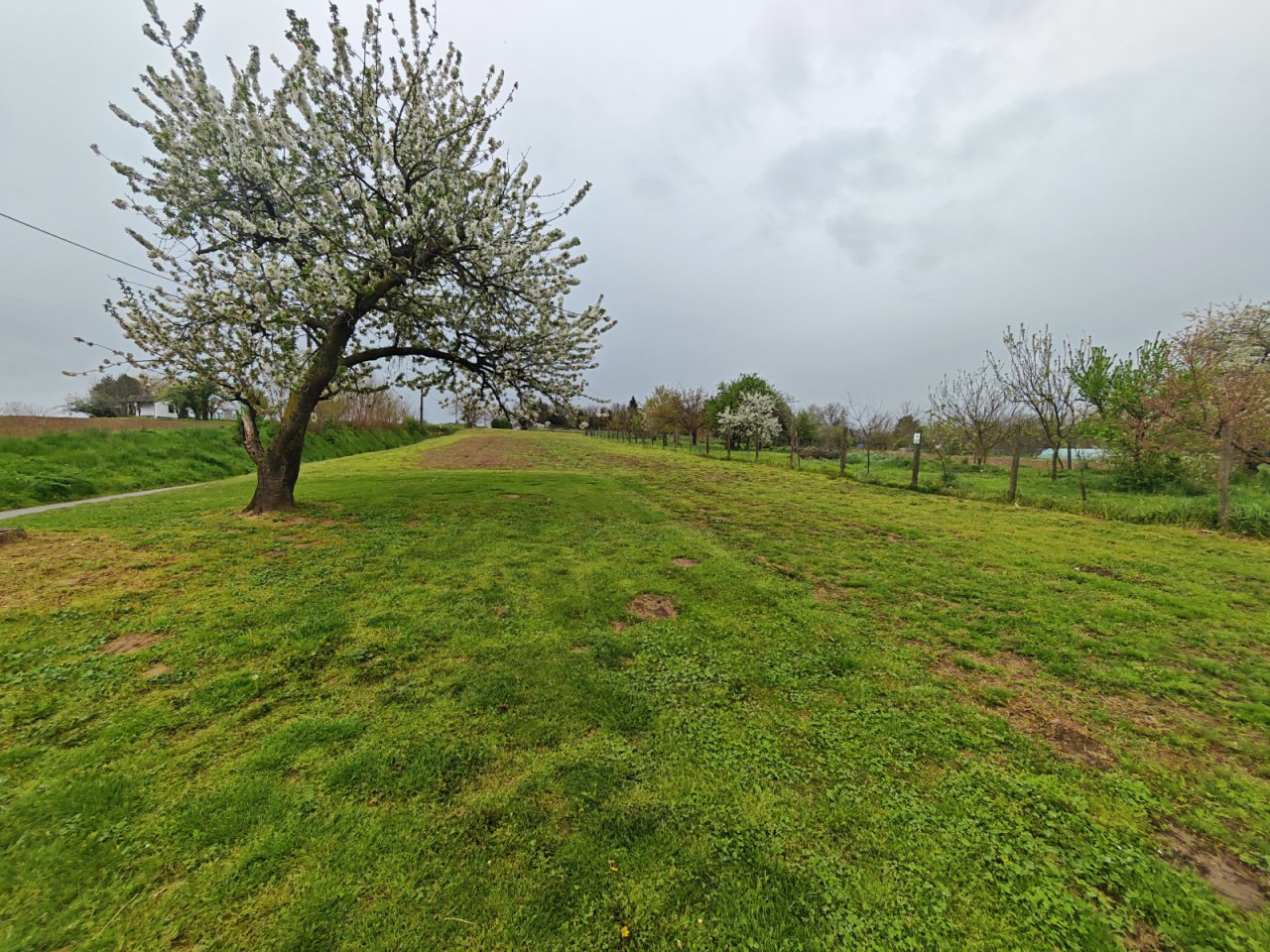 (BBA) Einfamilienhaus in ruhiger Lage (BB7229)