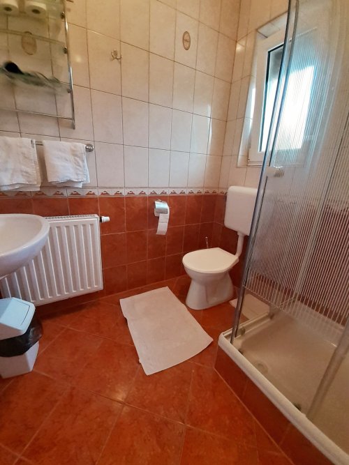 (AAA) Neuwertiger Bungalow &amp;  2 Apartments im Thermalbad Nähe Balaton (KK056)